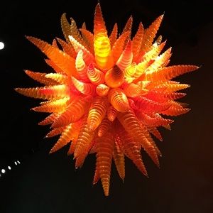 Meet your Posher, Elaine